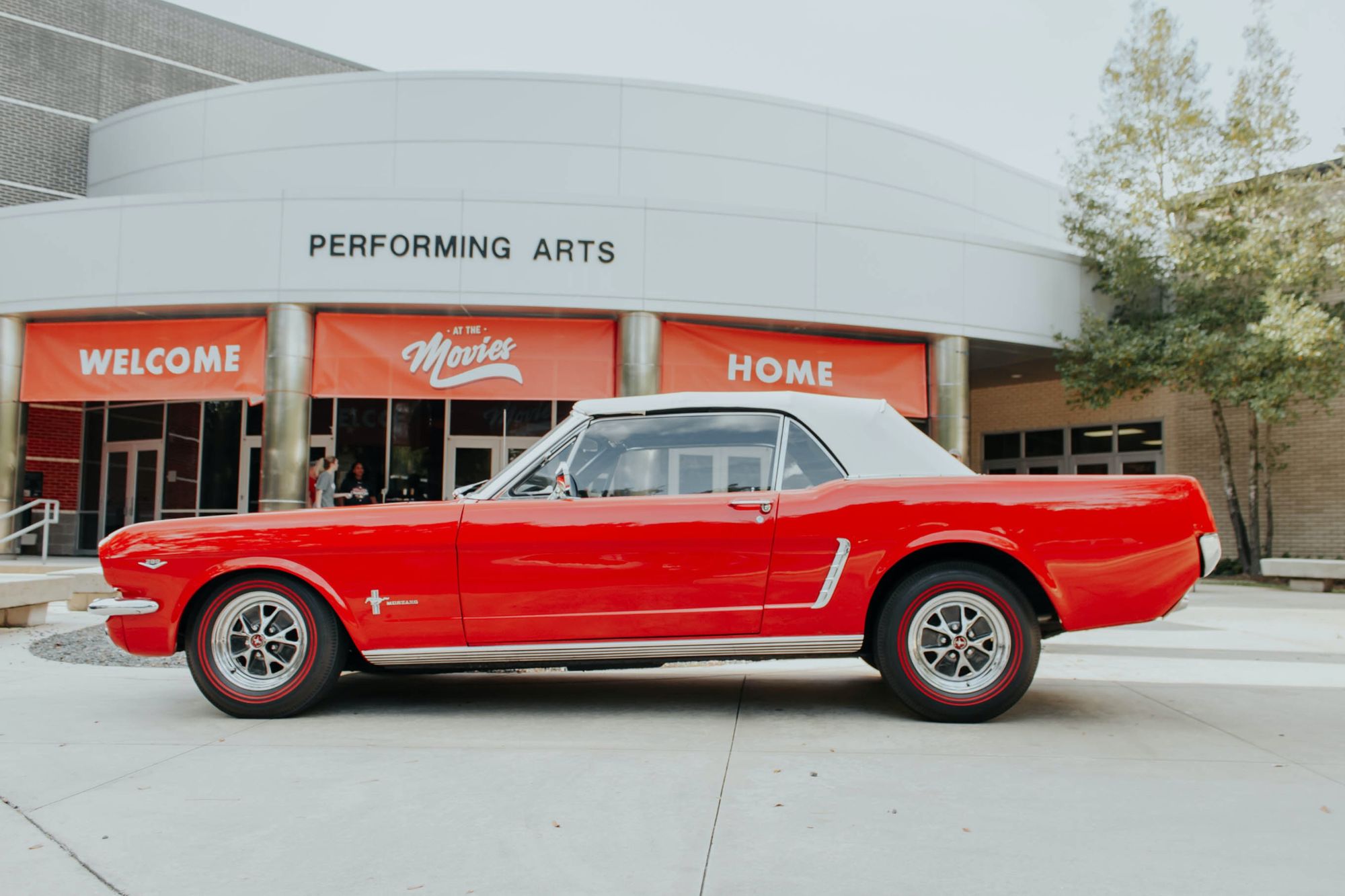 American Muscle: The Legends of the 1960s